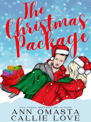 cover image of The Christmas Package